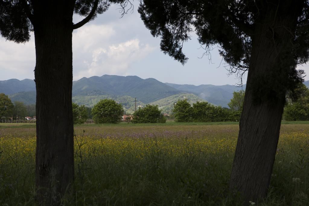 La Topaia Agroturismo *