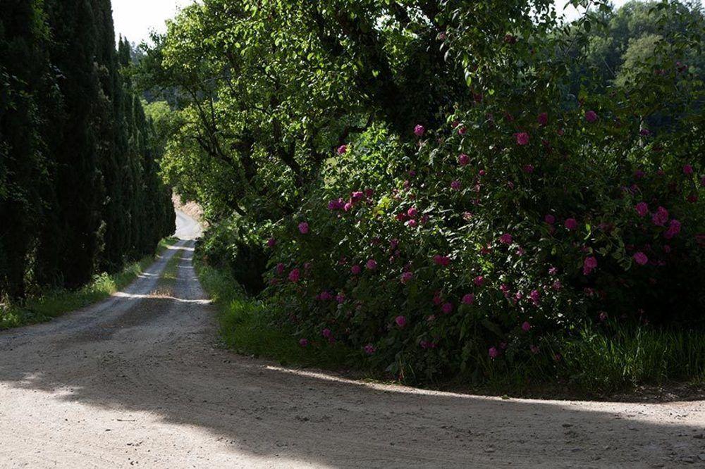 La Topaia Alojamento de Turismo Rural